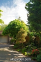 wbgarden spring 56